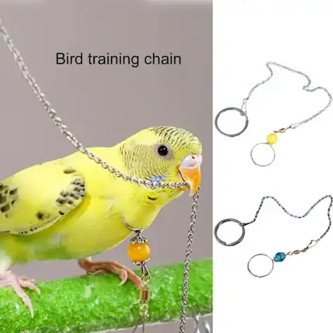 Bird Training Targets