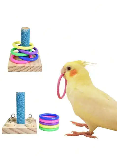 Bird Training Toys