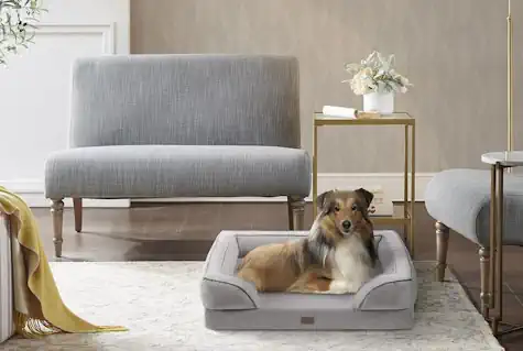 Dog Bed to Match Decor