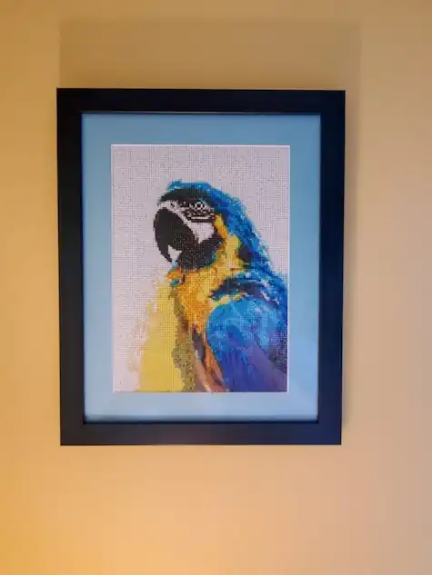 Framed and Matted Parrot