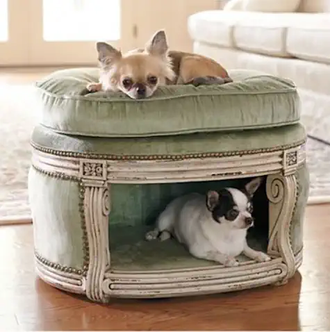 Stool and Pet Bed